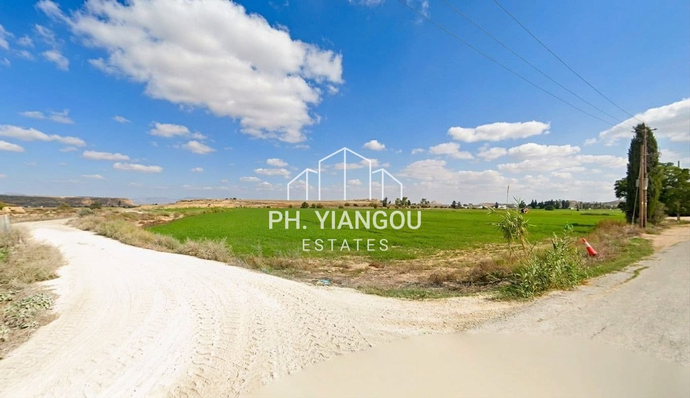 Agricultural Field for Sale in Potamia